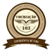 favicon - logo - cocriacao 103